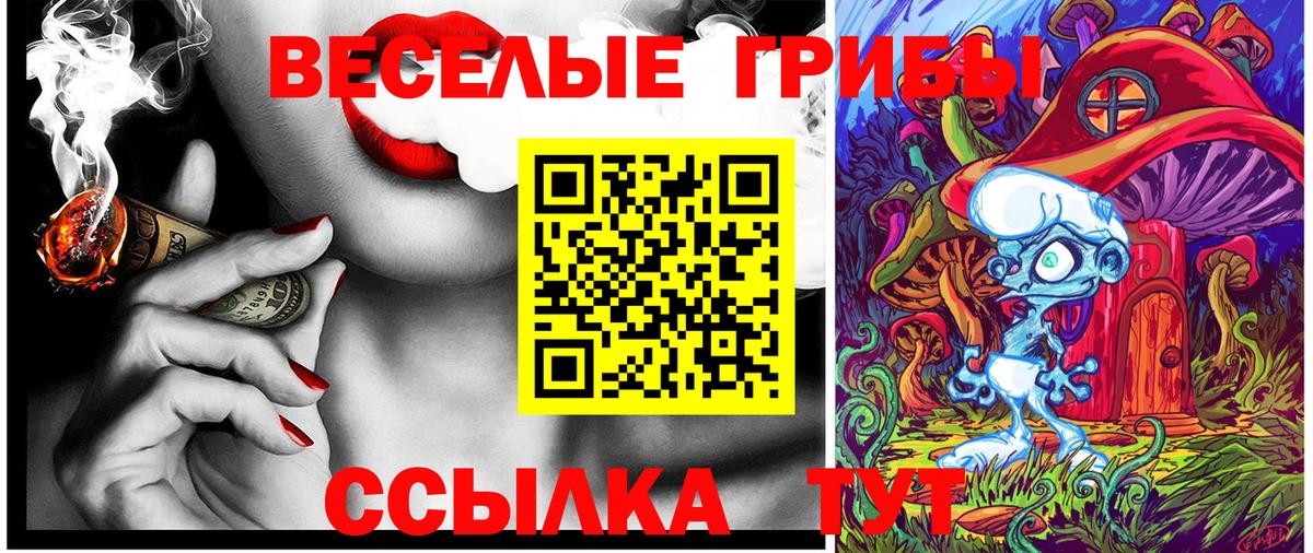 Алейск  хочу   Вход с VPN  Псилоцибиновые грибы Psilocybe 