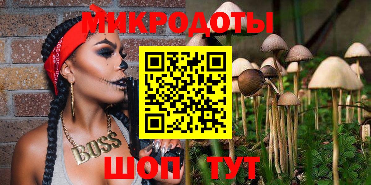 Псилоцибиновые грибы мицелий Алейск